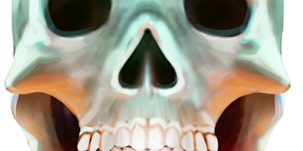 Players won’t miss this slot’s wild, a skull which substitutes for all other symbols on the reels