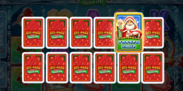 Big Bass Xmas Frozen Lake has a card based bonus round.